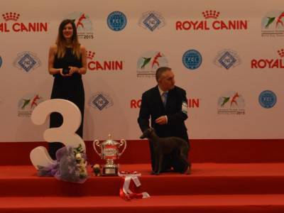 Caldarone Gaetano (Italy)