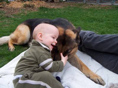 bambini cani7