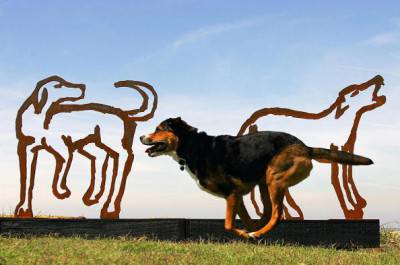 SYDNEY, AUSTRALIA: Guinness the local canine runs past Geoff Harvey's polished steel dogs known as 'Lennon & McCartney', which features in the annual Sculpture By The Sea exhibition near Sydney's Bondi Beach, 26 October 2004. Over 300,000 people were expected to view the works by 112 artists from 30 countries which will be on public display along the coastal cliffs between 28 October -14 November. AFP PHOTO/Torsten BLACKWOOD (Photo credit should read TORSTEN BLACKWOOD/AFP/Getty Images)