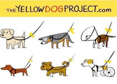 nastrogiallo