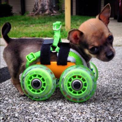 turbo