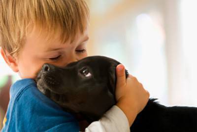 bacio cane