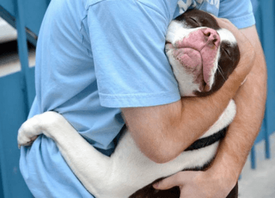 coccole 9d