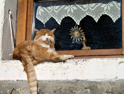 gatt cornicione