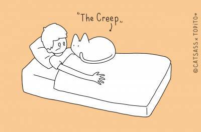 gatto6
