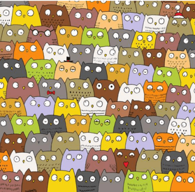 gatto1