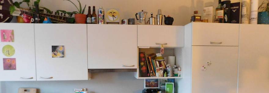 20160125_can-you-find-my-cat-pedro-in-this-pic__880