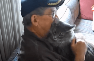 gattoaffetto