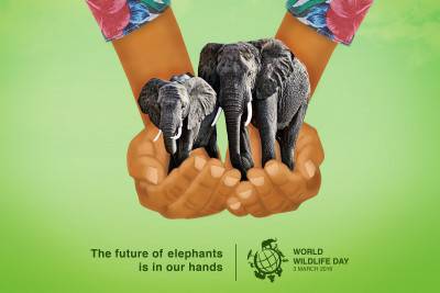 World Wildlife Day, locandina