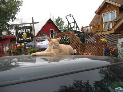 Mayor Stubbs
