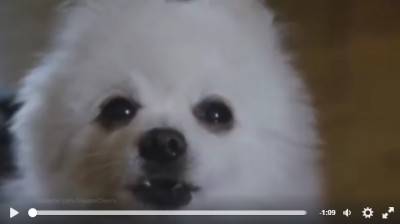 cane6