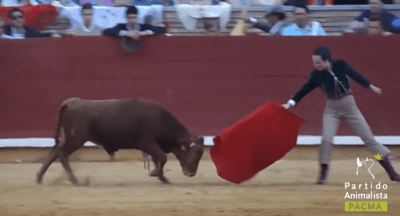 CORRIDA
