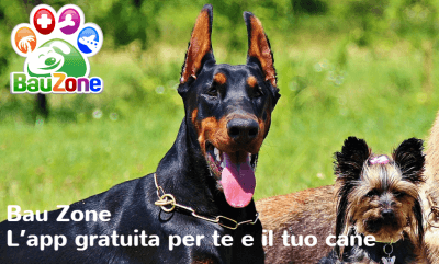bauzone