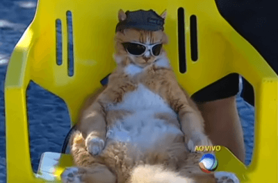 motociclista