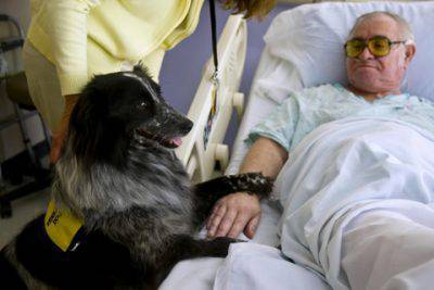 pet-therapy