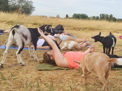 yoga-capre