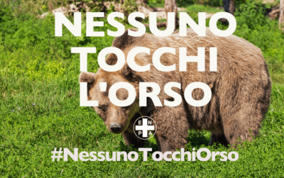 contenuto 100% originale