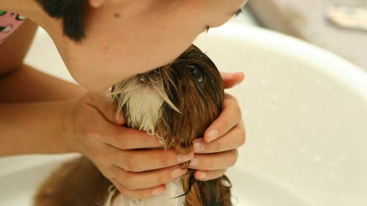 baciare-cane-rischi-(1)_optimized