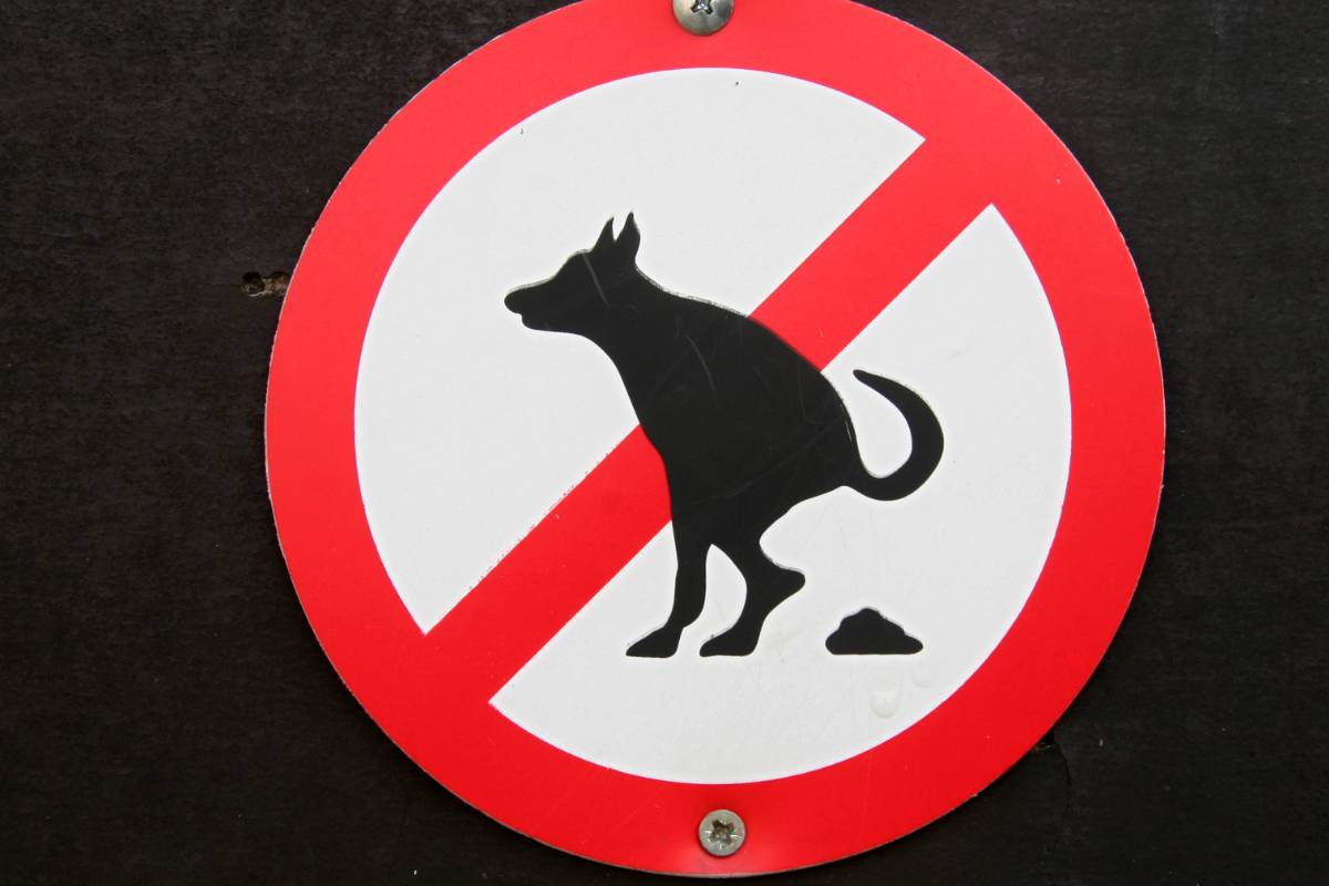 divieto cani