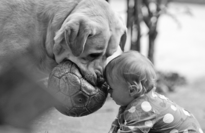 bambini e cani