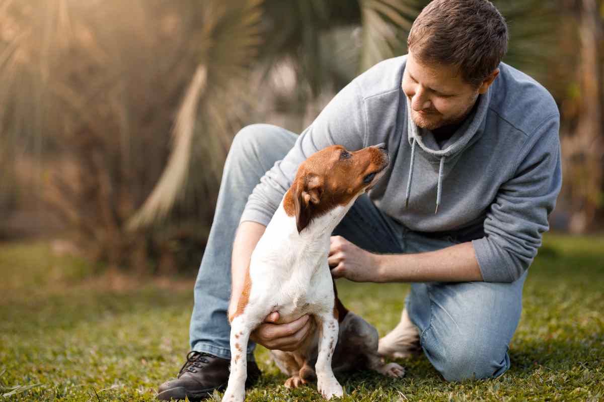 uomo e cane