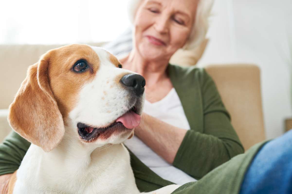 donna con cane anziano