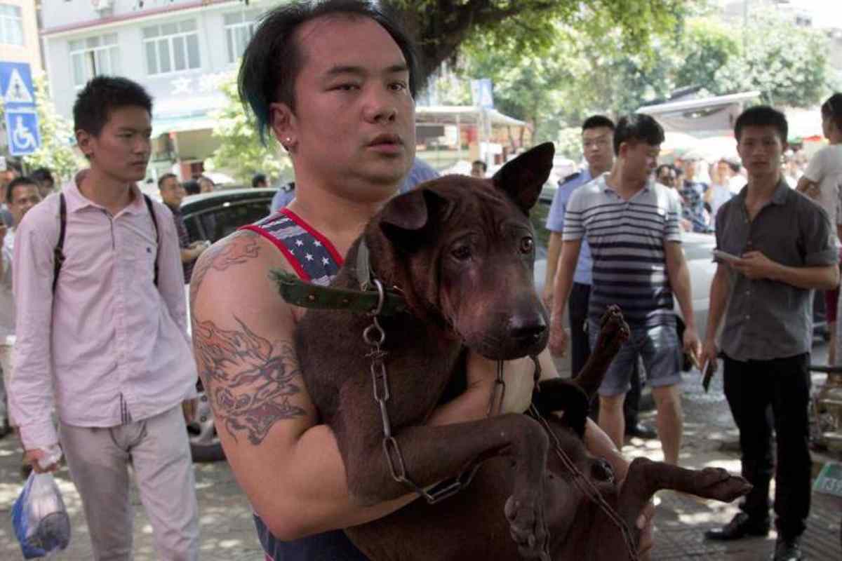 uomo con cane