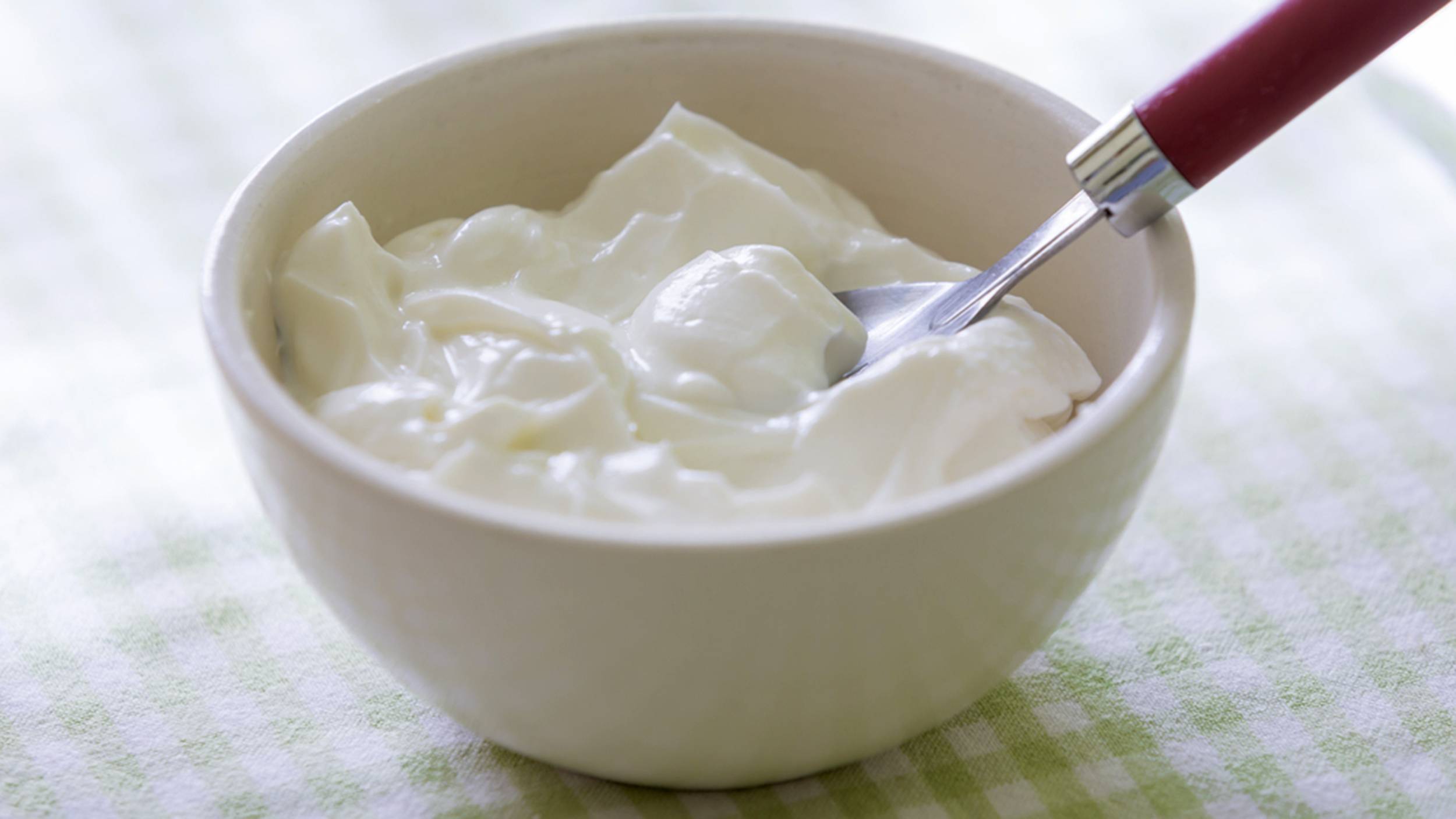 yogurt 