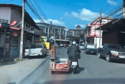sidecar