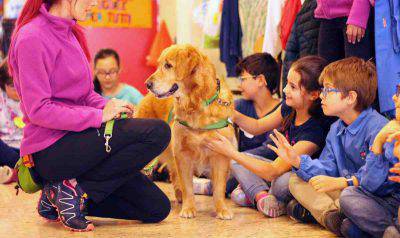 cane sostegno scuola