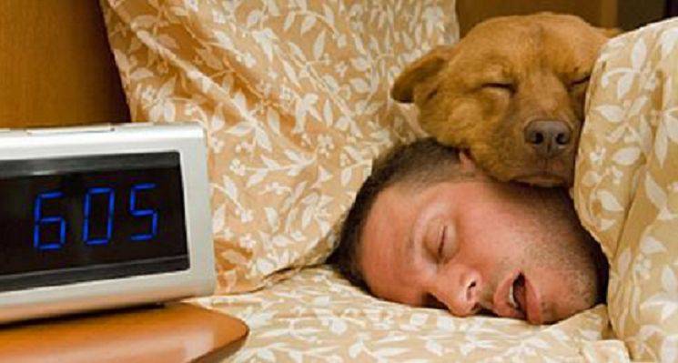 dormire con animali