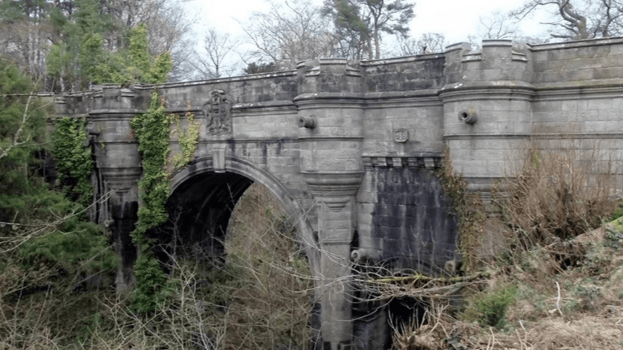 ponte cani suicidi scozia