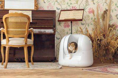 lettiere gatti
