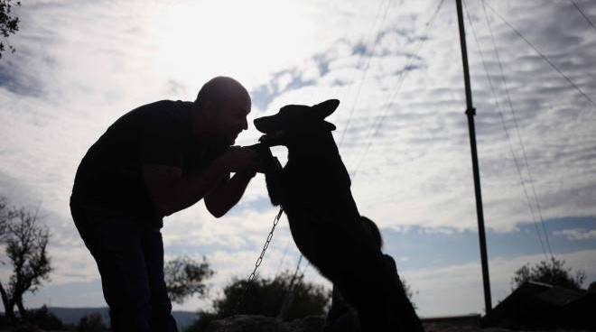 cane aggressivo con il padrone