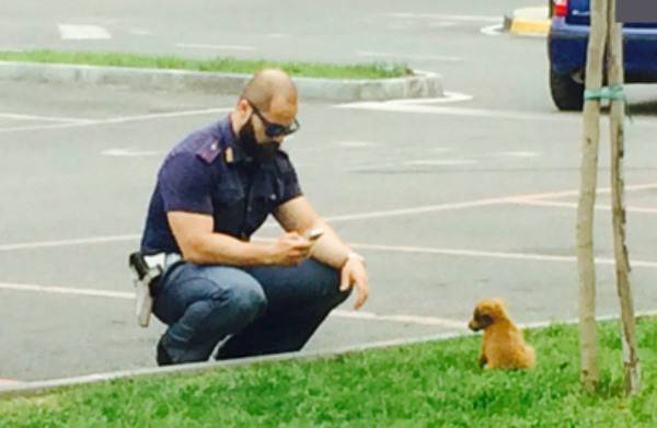 aiutare un cane abbandonato