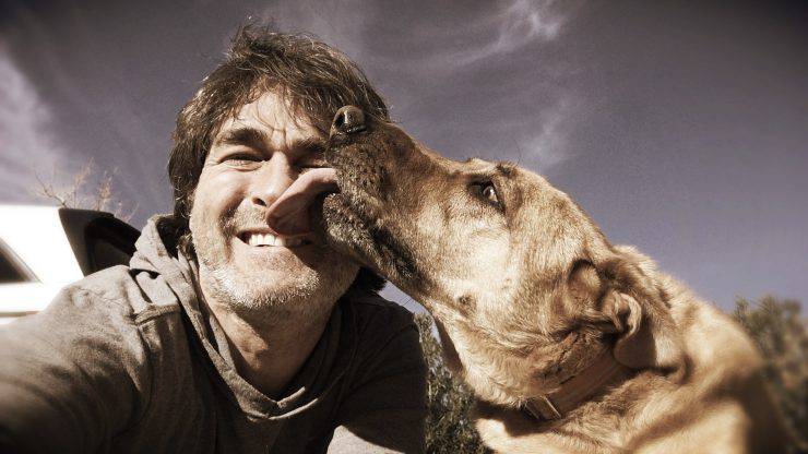 cane lecca padrone viso mani piedi