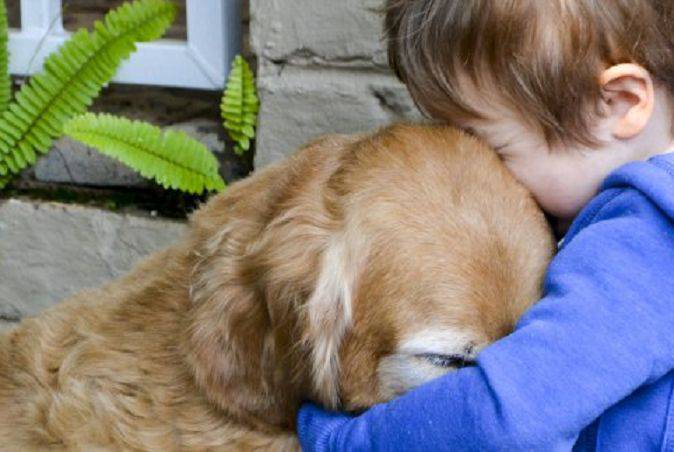 lutto per il cane