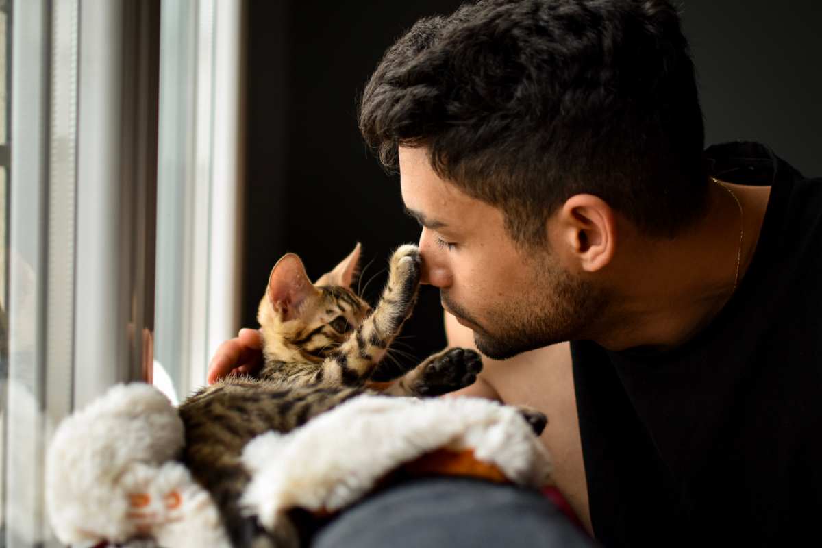 ragazzo e gatto