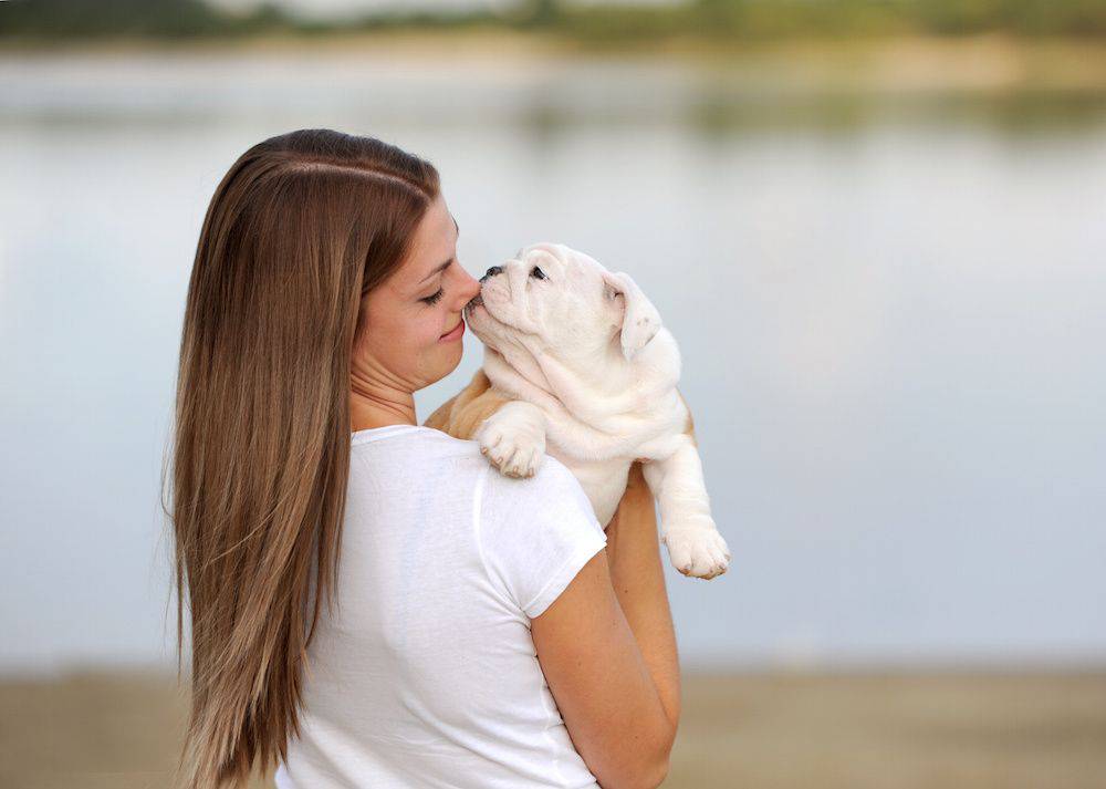 cane detesta soffio sul muso