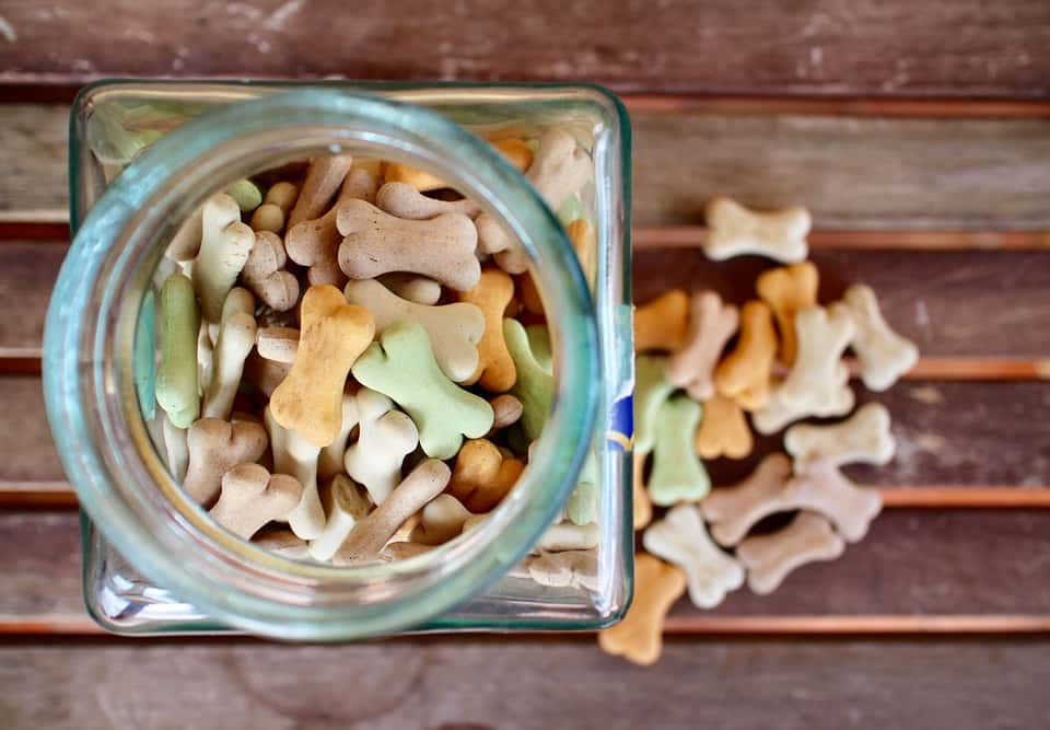 Cibo per cani con malattie al cuore