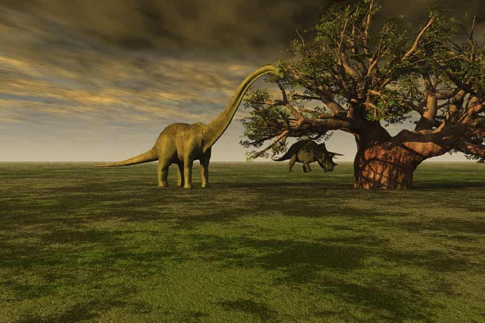 dormivano dinosauri