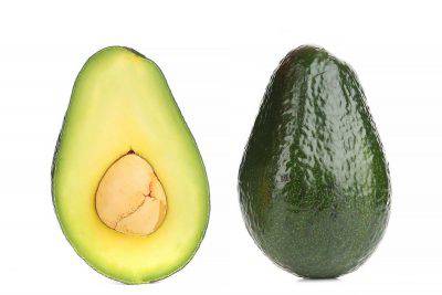 Avocado: alimento vietato ai gatti