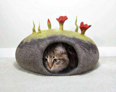 Gatto nella cuccia