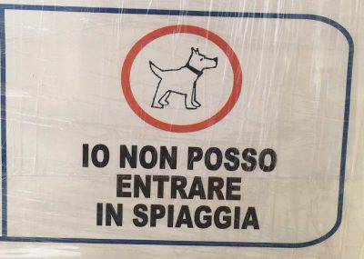 Cani in spiaggia