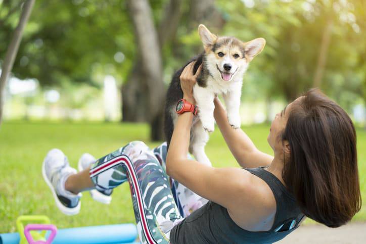 sport con il cane