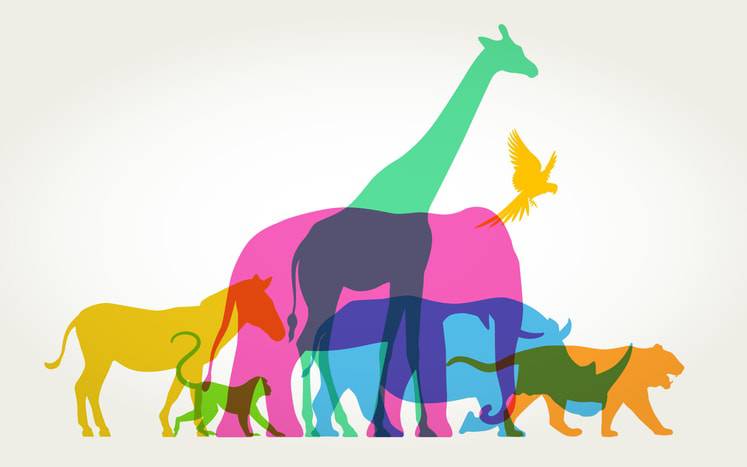 test animale guida