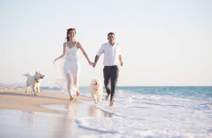 viaggio di nozze con il cane