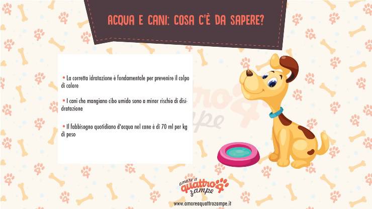 quanta acqua dare al cane