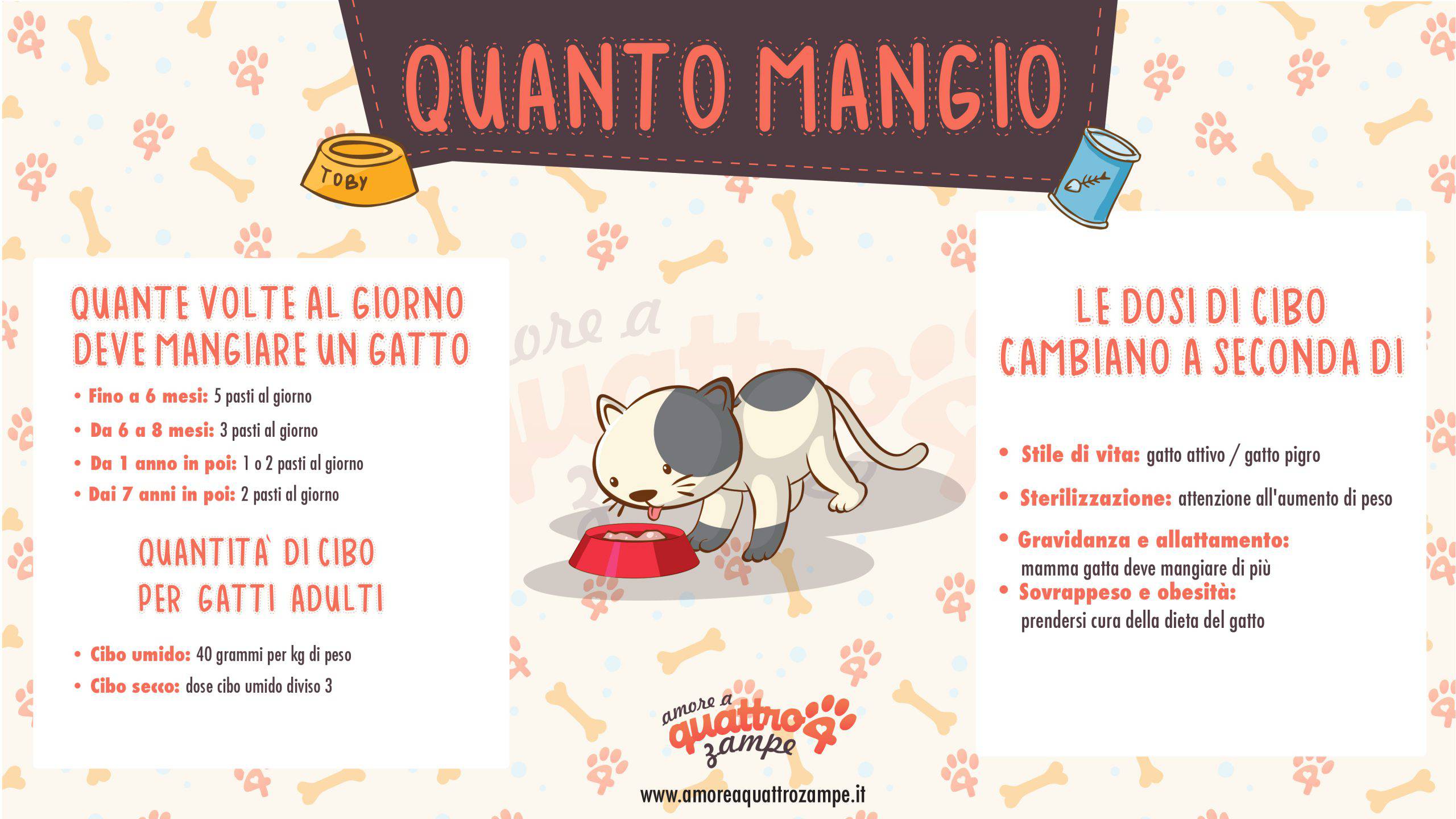 infografica quanto mangia gatto