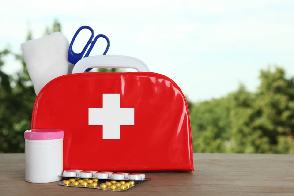 Kit di pronto soccorso per il cane